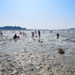 선감어촌체험마을 썸네일